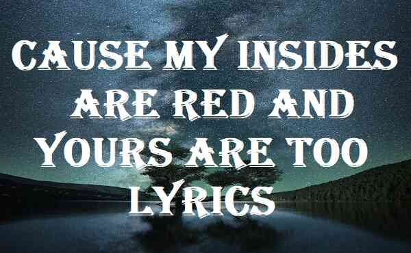 Cause My Insides Are Red And Yours Are Too Lyrics